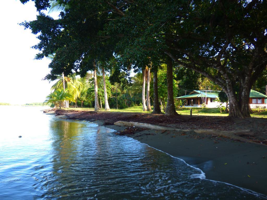 Corcovado Beach Lodge Puerto Jiménez Extérieur photo
