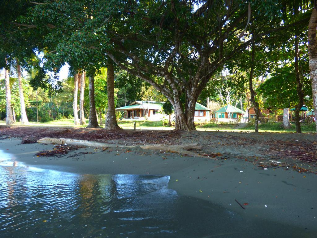 Corcovado Beach Lodge Puerto Jiménez Extérieur photo