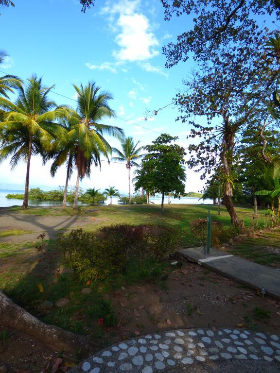 Corcovado Beach Lodge Puerto Jiménez Extérieur photo