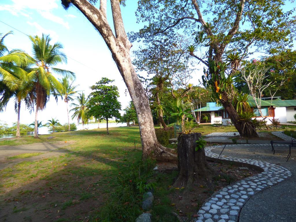 Corcovado Beach Lodge Puerto Jiménez Extérieur photo