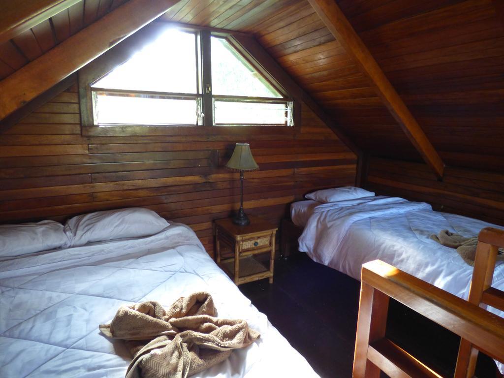 Corcovado Beach Lodge Puerto Jiménez Chambre photo
