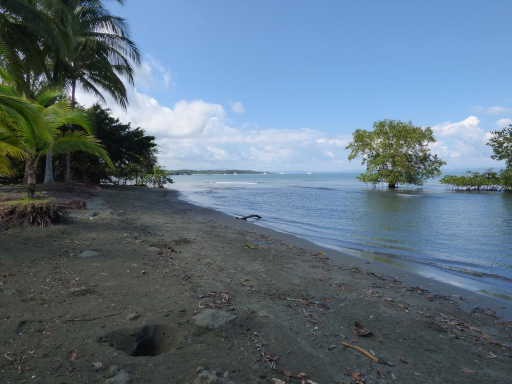 Corcovado Beach Lodge Puerto Jiménez Extérieur photo