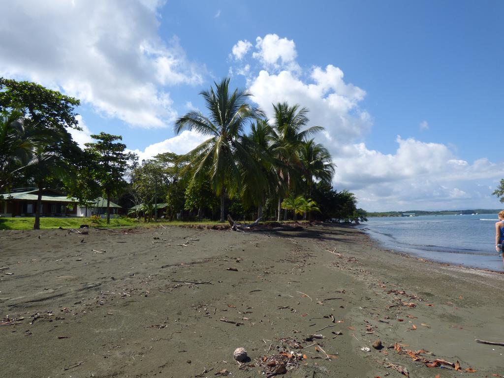 Corcovado Beach Lodge Puerto Jiménez Extérieur photo