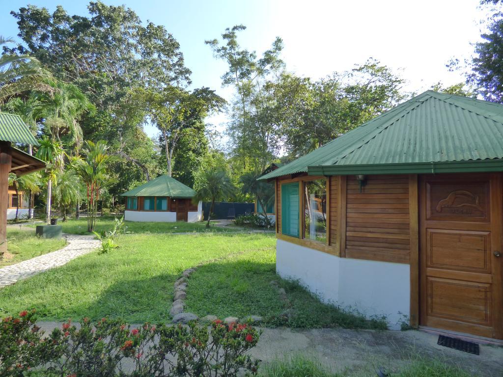 Corcovado Beach Lodge Puerto Jiménez Extérieur photo