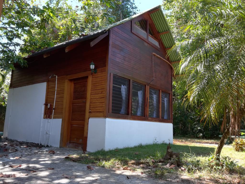 Corcovado Beach Lodge Puerto Jiménez Extérieur photo