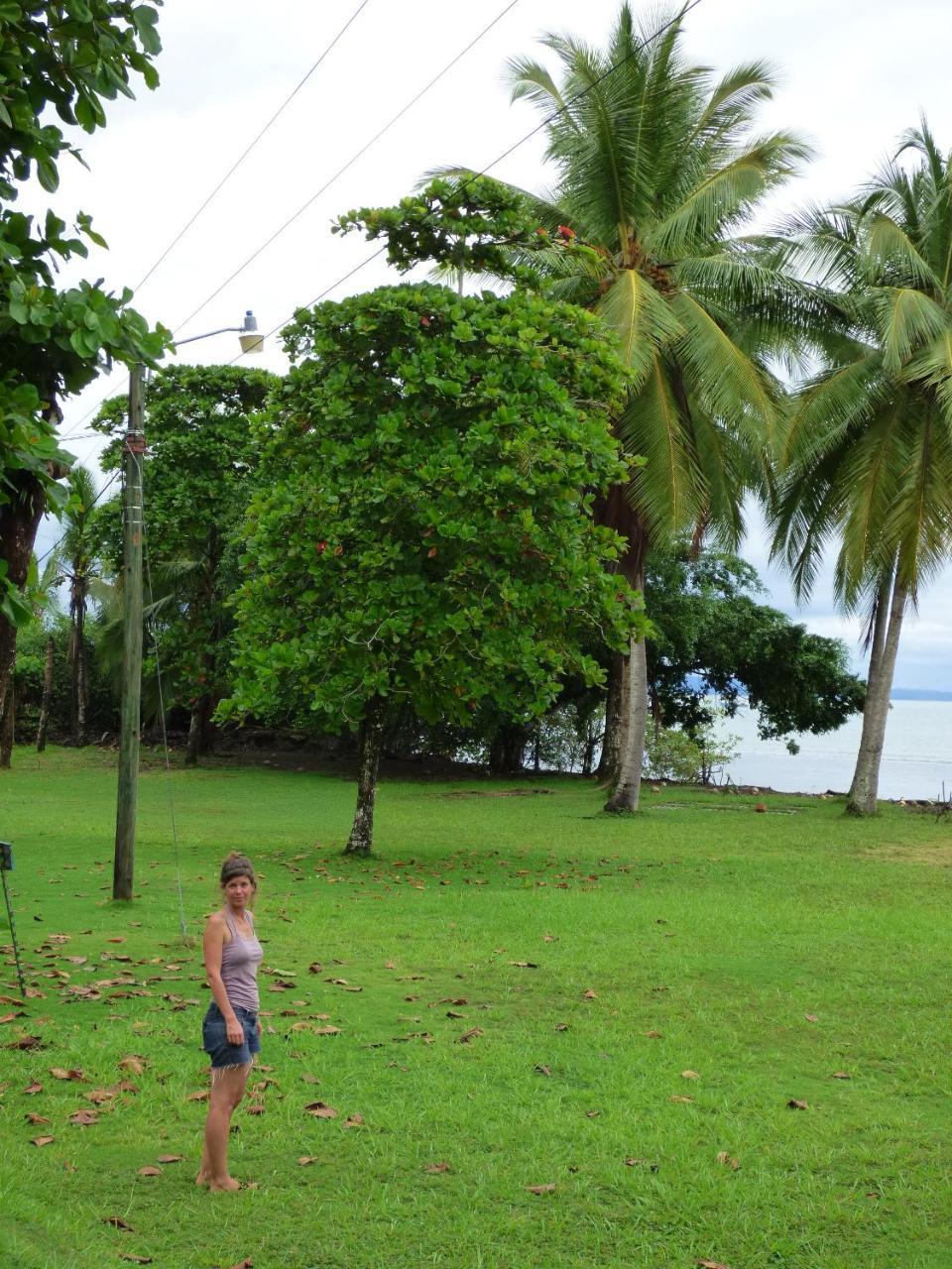 Corcovado Beach Lodge Puerto Jiménez Extérieur photo